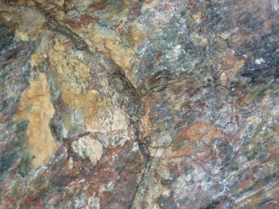 Serpentinized Peridotite