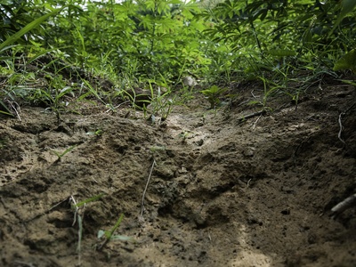 Soil Erosion