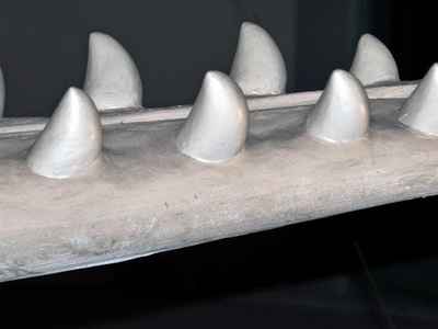 Sperm Whale