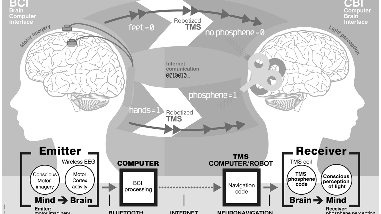 Visualization of brain connectome with AI and computing hardware