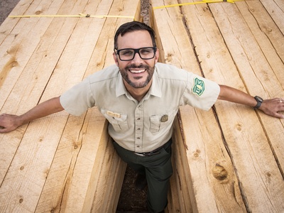 Timber (mixed species)