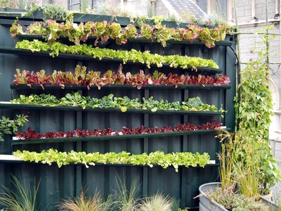 Vertical Farming