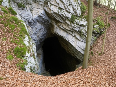 Vilina Pećina (Kneževo)