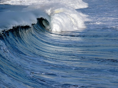 Wave Energy (Point Absorber)