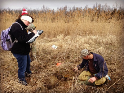 Wetland Delineation