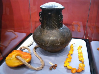 Amber (Baltic amber)