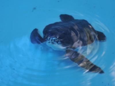 Audubon Louisiana Nature Center