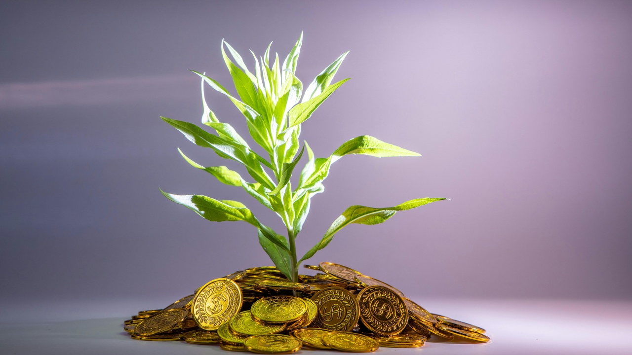 Pollination, flood protection, and natural resources delivering value to communities