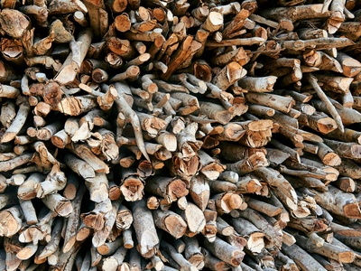 Biomass Potential