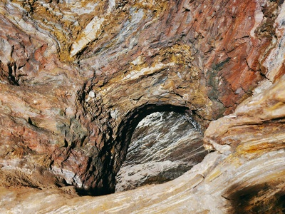 Bowman's Cave Isopod