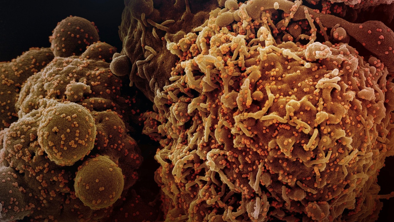 illustration of cancer risk factors, like smoking, infection, and genetics.