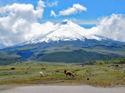 Cotopaxi