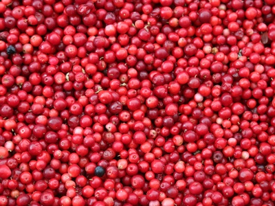 Cranberry
