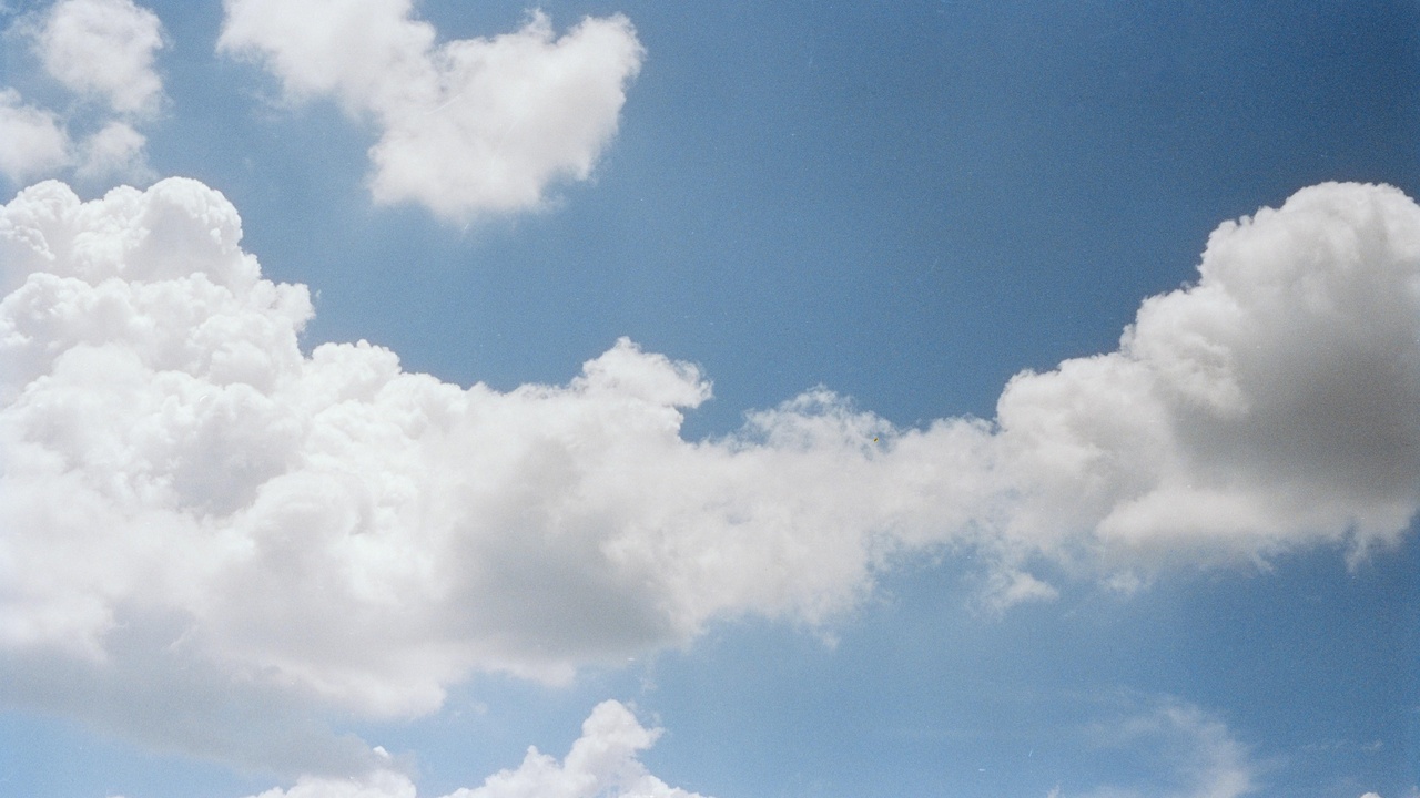 Chart showing cloud cost savings and businesses migrating to cloud