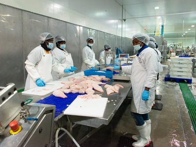 Fisheries (marine & inland)