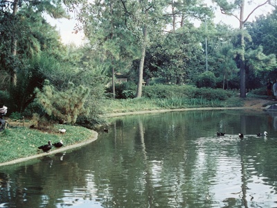 Freshwater Pond Chain
