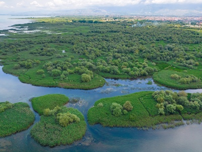 Freshwater (rivers & lakes)