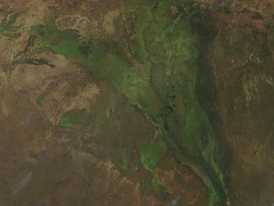 Freshwater (Sudd wetlands/White Nile)