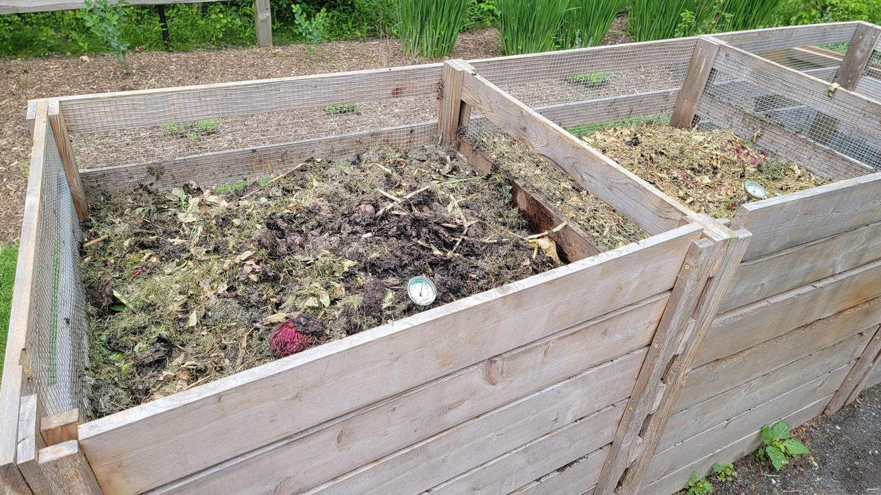 Garden compost pile