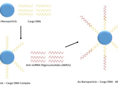 Gold Nanoparticles