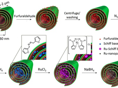 Halloysite Nanotubes
