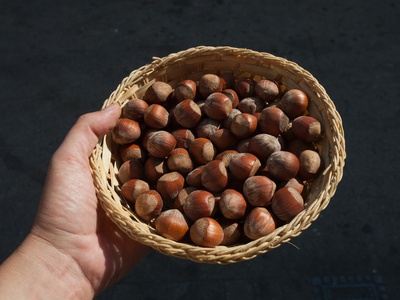 Hazelnuts