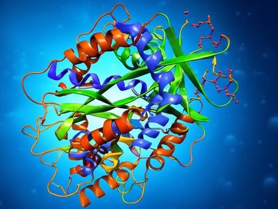 Hydrogen Peroxide (Biological)