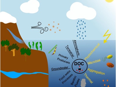 Hydrothermal Vent Chain