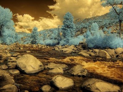 Infrared (IR) Sensor