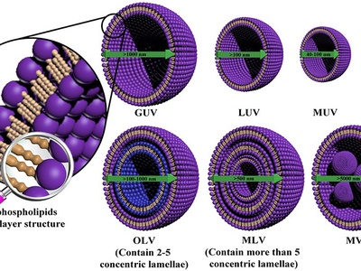 Liposomes