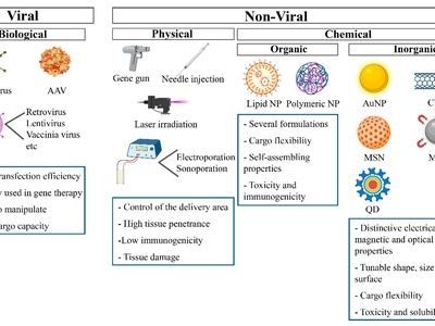Mesoporous Silica Nanoparticles
