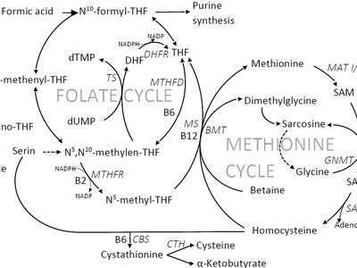 Methionine