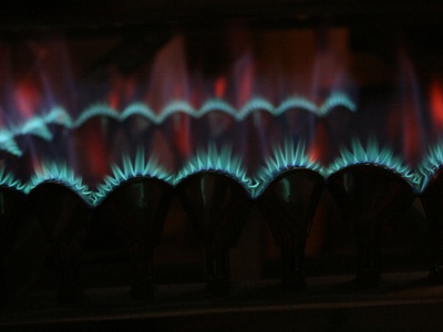 Natural gas (Malampaya)