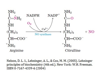Nitric oxide (NO)