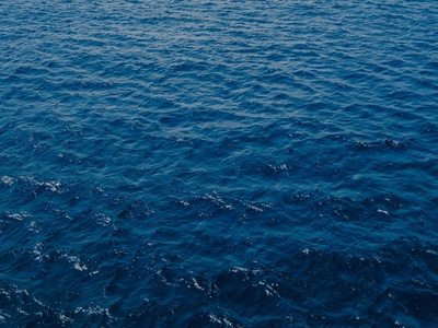 Open Ocean Pelagic Chain