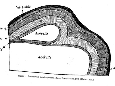 Phosphorite (Rock Phosphate)