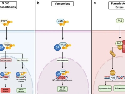 Prednisone (systemic steroid)