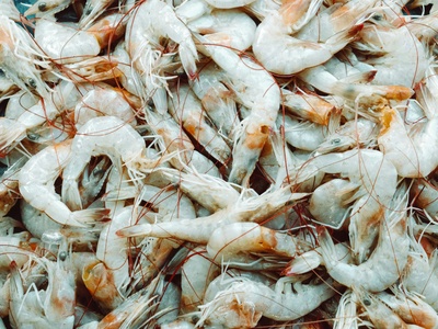 Shrimp (marine & farmed)