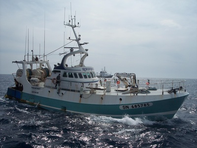 Small pelagics (sardines)