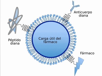 Solid Lipid Nanoparticles