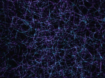 Thalamic reticular neuron