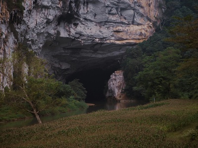 Thiên Cung (Heavenly Palace) Cave