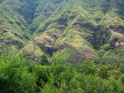 Volcanic soils (Andisols)