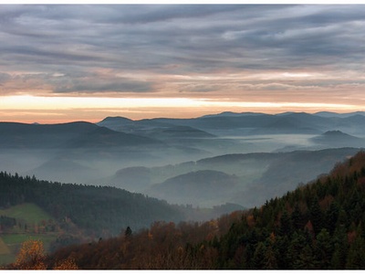 Vosges