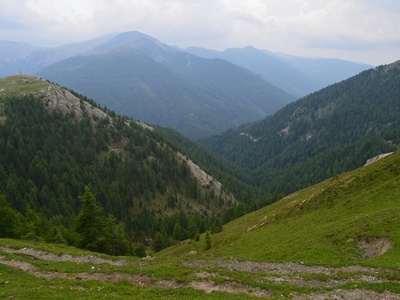 Western Carpathians (subsector)