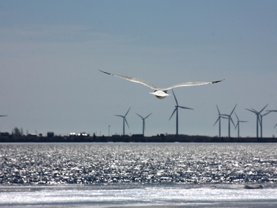 Wind energy (onshore & offshore potential)