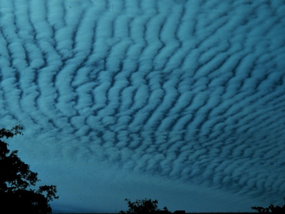 Altocumulus radiatus