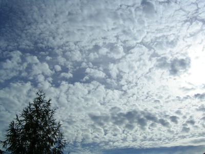 Altocumulus stratiformis
