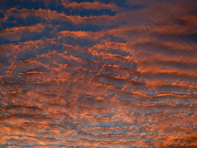 Altocumulus undulatus