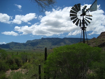 Baja California Desert